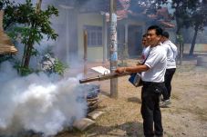Libatkan Bacaleg, Perindo...