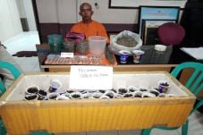 Budidaya Ganja, Petani...