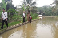 Berenang di Kolam, Bocah...
