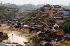 Bangladesh-UNHCR Kompak...