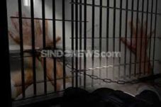 Ratusan Napi Gelar Pentas...
