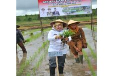 Bupati Kobar dan TNI...