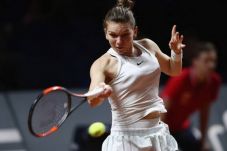 Menolak Menyerah, Halep...