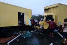 Dua Truk Adu Kambing...