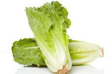 Waspada! Bakteri E-Coli...