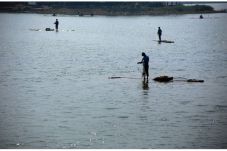 Menjaring Ikan Tiruan