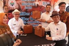 Kembangkan Usaha, BUMDes...