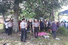 Meriam Istana Raja di...