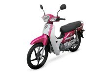 Honda Perkenalkan Saudara...
