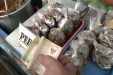 Sidak Pasar Takjil,...