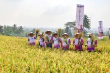 Menteri Rini Serap 4.700...