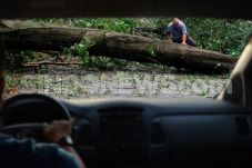 Satu Mobil Ringsek Tertimpa...