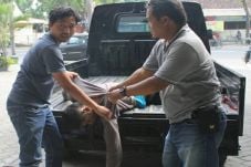 Kabur saat Olah TKP,...