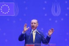 Kata Erdogan, Negara-negara...