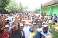 Giliran Pedagang Sapi...