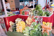 Smesco Indonesia Gelar...