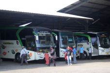 Petugas Gabungan Cek...