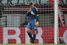 Comeback Neuer Dinodai...