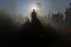 NGO Palestina Sayangkan...