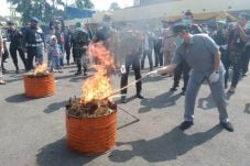 32,5 Kg Ganja Dibakar...