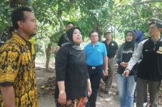 Bupati Kobar Segera...