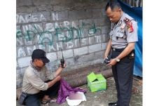 Mayat Bayi Kembar Ditemukan...