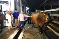 Bupati Pastikan Stok...
