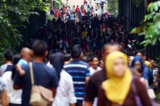 Taman Margasatwa Ragunan...