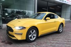 Raungan Ford Mustang...