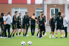 Pelatih Belgia: Generasi...