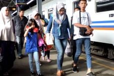 Ini Cara Cerdas Berburu...