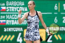Rybarikova Berharap...