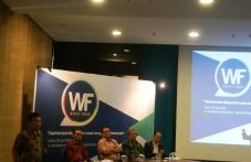 Pengembangan Energi...