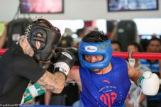 Jelang Ladeni Matthysse,...