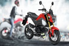 Honda MSX 125 Jadi Primadona...