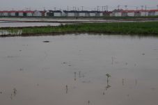 Marak Alih Fungsi, Bekasi...