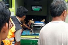 Hendak Pulang ke Rumah,...