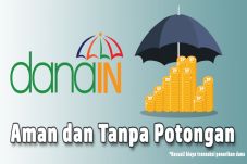 Danain, Platform Fintech...