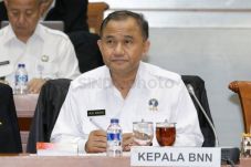 HANI 2018, BNN Ajak...