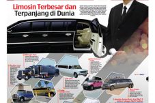 Limosin Terbesar dan...