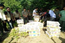 Ribuan Burung Gelatik...