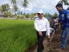 Beri Bantuan, Mentan...