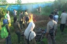 Ratusan Ekor Buaya yang...