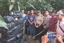 Edarkan 250 Kg Ganja,...