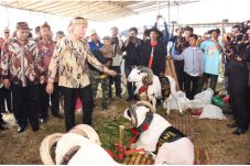 Pemprov Jabar Intens...