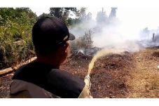 Kebakaran Lahan Gambut...