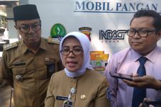 Pasokan Minim Penyebab...