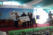 Petrokimia Gresik dan...