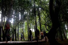 LIPI Dorong Pengelolaan...
