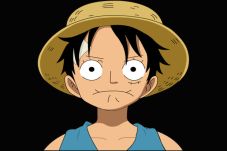 Monkey D Luffy Remukkan...